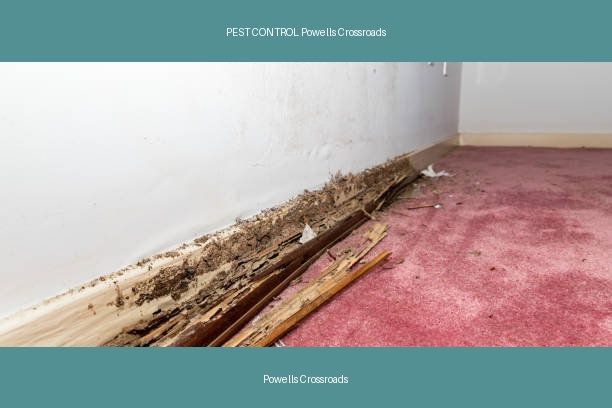 PEST CONTROL Powells Crossroads